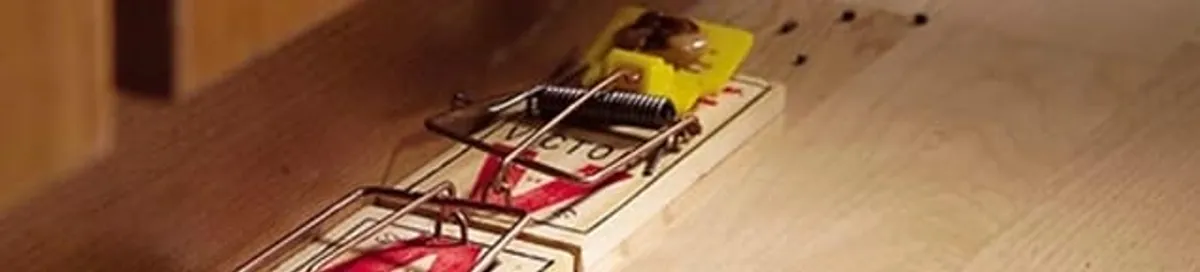 Rodent trap set indoors for rodent control and prevention in Pembroke PInes, FL